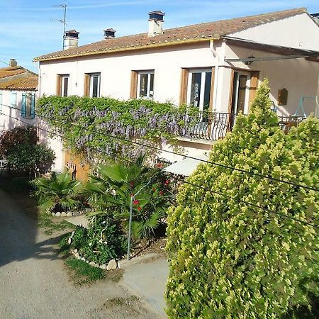 Gite Mas Des Ecureuils Palau-del-Vidre Bagian luar foto